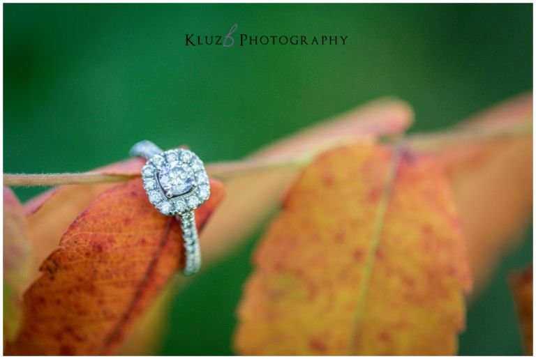 KluzBPhoto_JoanieNick_15