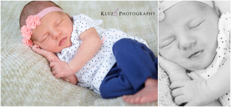 KluzBPhoto_Wolf_2-8